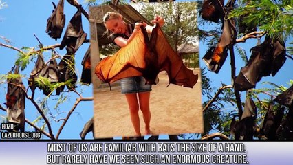 Incredible Photos You Won’t Believe Are Real