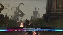 The PvP in The Elder Scrolls Online