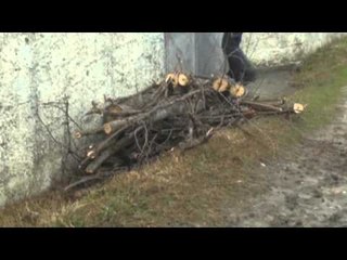 VRASESI I LUZIT TE MADH LEVIZTE I ARMATOSUR