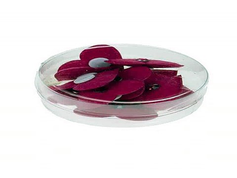 Незаменимый подарок на все случаи жизни - Набор украшений декоративных Знойные сердца в г. Тюмень