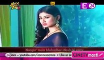 Shivanya ko Bachane ke liye Shesh iichadhaari Nevle ko Phasaya Apni Prem Jaal Mein 5th January 2016 Naagin