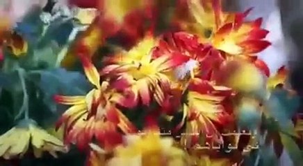 صوت أرعب سكان المدن المغربية، هل يتعلق الأمر بظاهرة "همهمة السماء" ؟