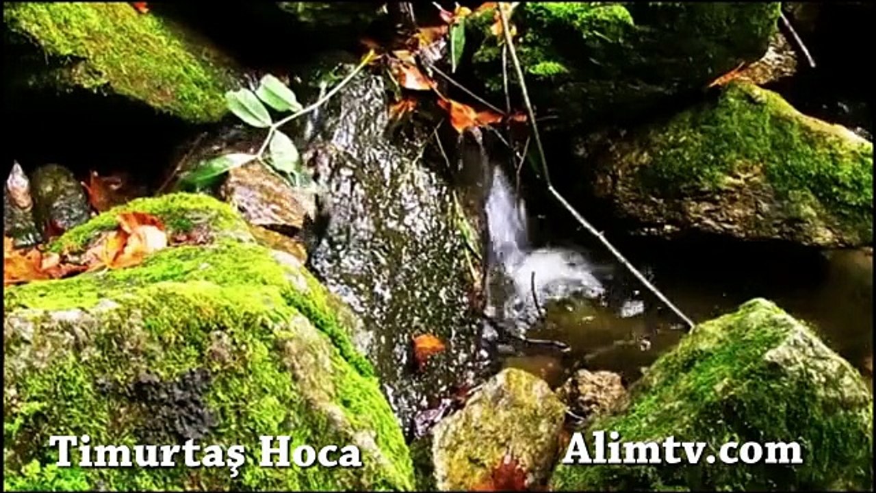 Allah'la (c.c) Aranız Nasıl - Timurtaş Hoca