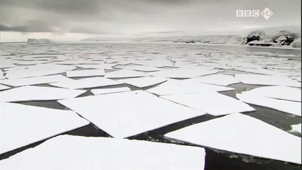 BBC Documentary Earth Under Water