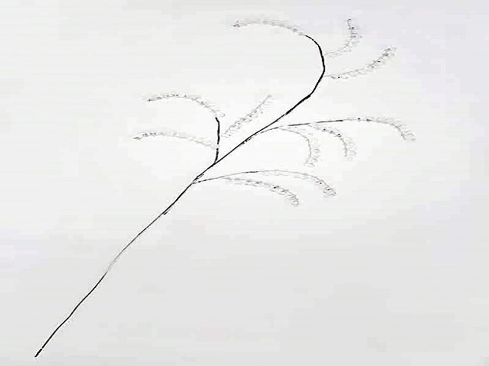 Купил отличный подарок на все случаи жизни - Украшение для интерьера Веточка с капельками в г. Омск