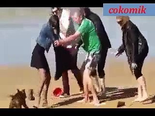 Pitbull dog attack people