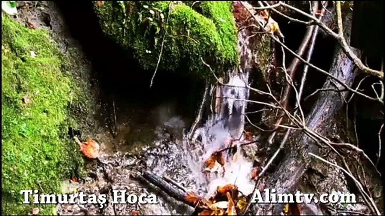 Acık gezen kadınlar - Timurtaş Hoca