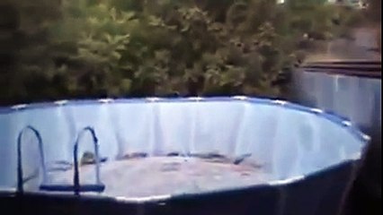 aliens on the roof, an unbelievable moment recorded by camera