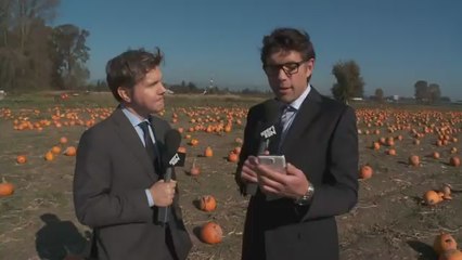 October 28 - Reviews on the Run - 6