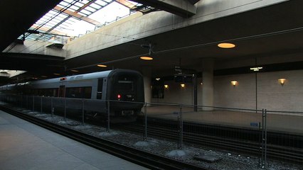 Denmark introduces controls at German border: PM