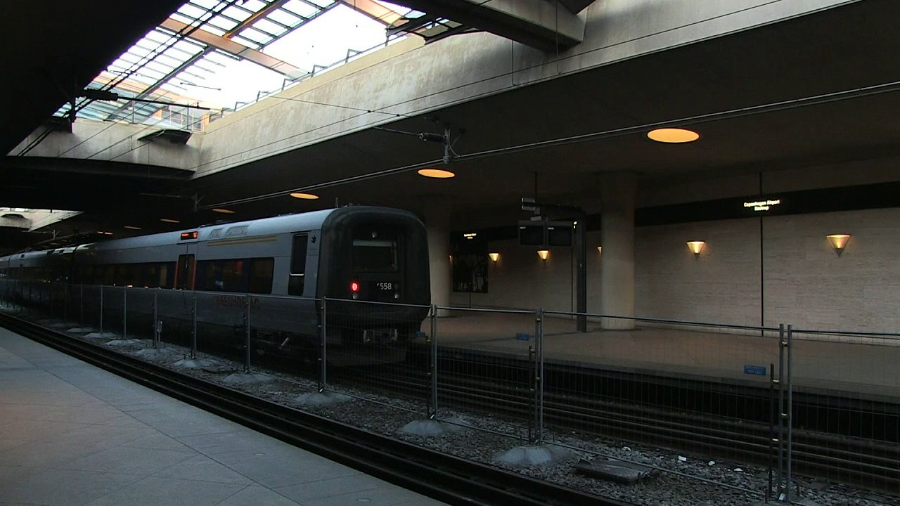 Denmark introduces controls at German border: PM