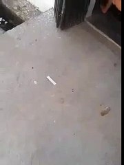 A video of a child's laugh Funny Best Baba Laughing Video