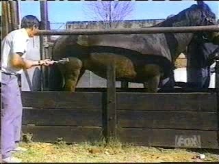 Cheval