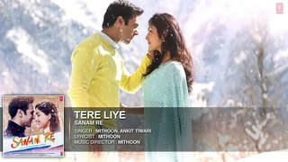 Tere Liye Full Song (Audio)  'SANAM RE'  Pulkit Samrat, Yami Gautam - HDCoverSongs