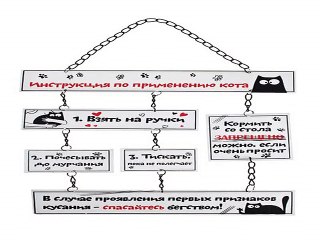 Приличный подарок на все случаи жизни - Табличка декоративная Инструкция к коту в г. Новосибирск