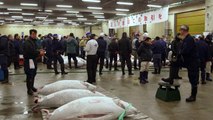 سمكة تونة تباع بسعر 117 الف دولار في مزاد ياباني
