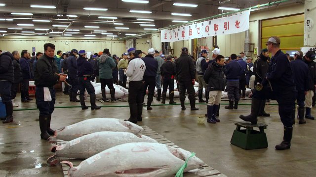 سمكة تونة تباع بسعر 117 الف دولار في مزاد ياباني