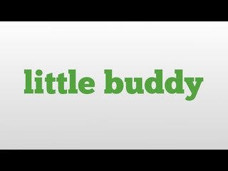 little buddy meaning and pronunciation