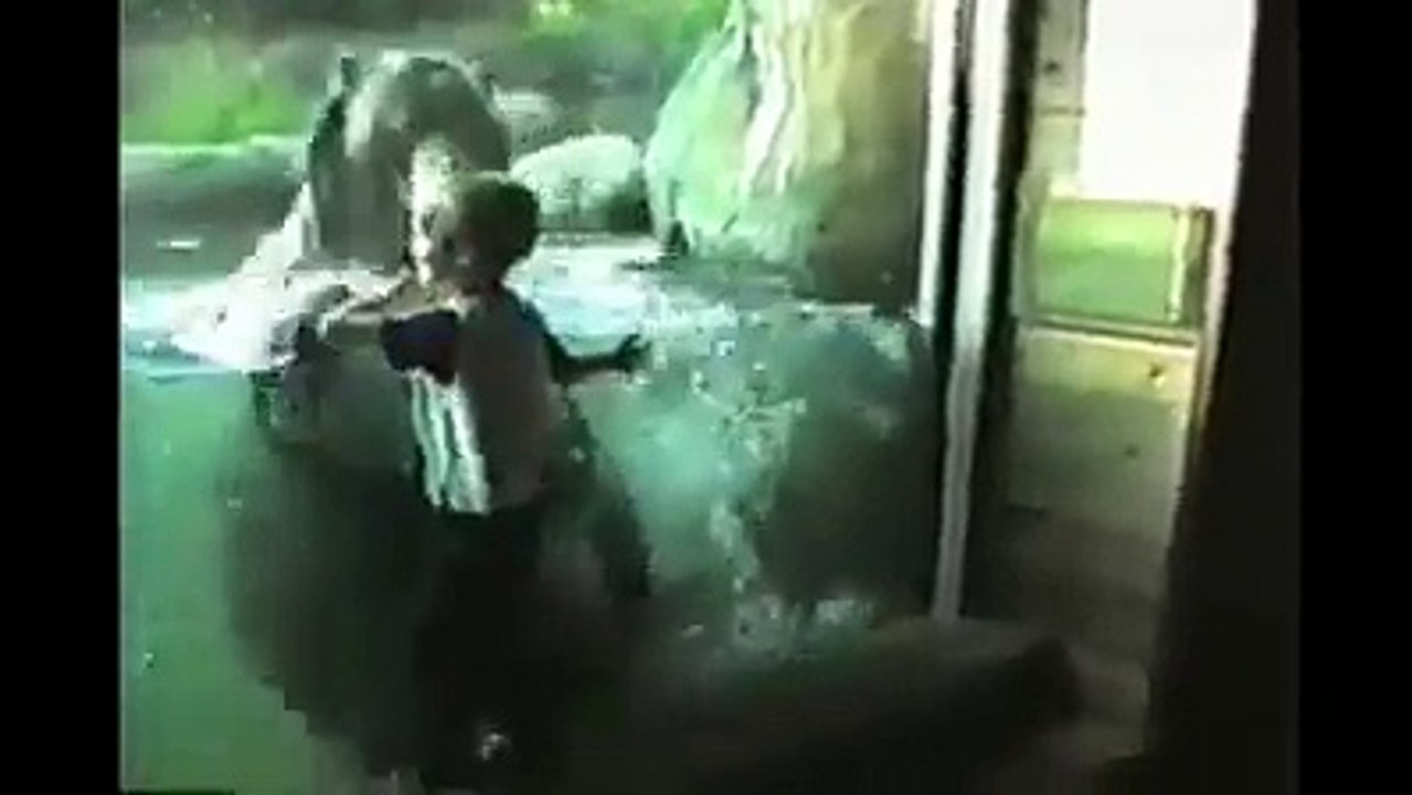 kia kamal hy funny video had hoti hy