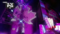 Alicia Fox and Tamina Snuka vs. AJ Lee and Kaitlyn (w/ Natalya)