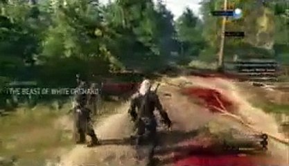 The Witcher 3 Wild Hunt Walkthrough Gameplay - Part 4 Bloody Mess