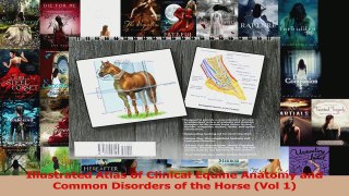 PDF Download  Illustrated Atlas of Clinical Equine Anatomy and Common Disorders of the Horse Vol 1 PDF Online