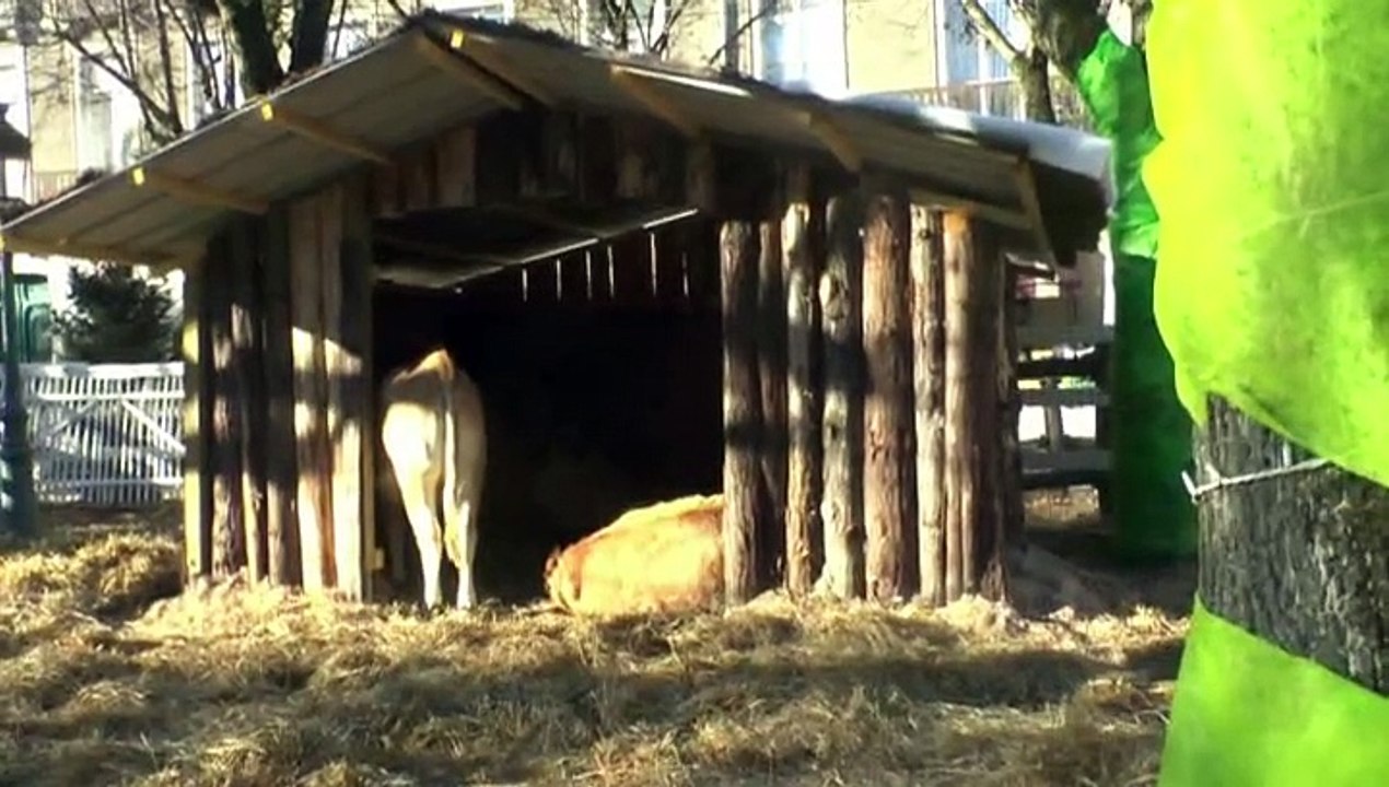 IL ÉTAIT UNE FOIS NOËL À PAU - 13 DÉCEMBRE 2015 - VISITE AUX ANIMAUX DU JARDIN ENCHANTÉ - I -
