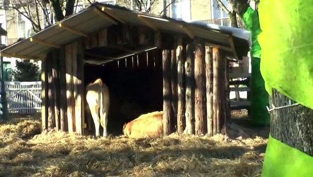 IL ÉTAIT UNE FOIS NOËL À PAU - 13 DÉCEMBRE 2015 - VISITE AUX ANIMAUX DU JARDIN ENCHANTÉ - I -