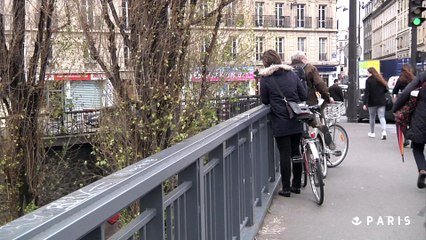 Mise à sec du canal Saint-Martin. Episode 2 : que trouve-t-on au fond du canal?