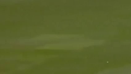 Top 5 Funny CRICKET Moments _ Slips, Run Outs,