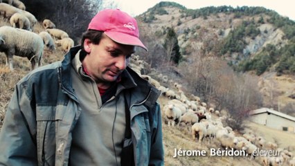 Le dossier du mois: homme-loup, comment cohabiter?