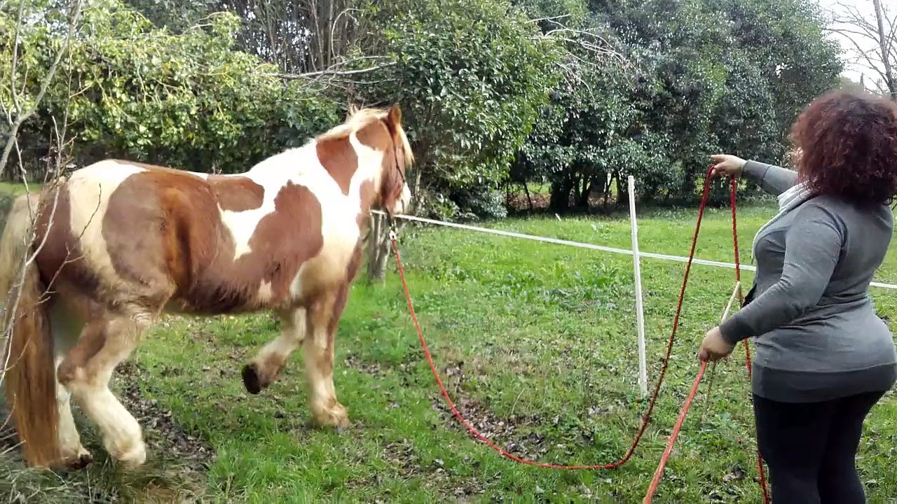 deplacement lateral ringo et Cendrine