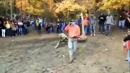 Incredible moment and how lucky they are