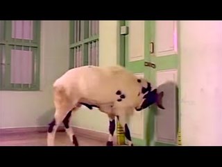 Attukara Alamelu | Tamil Movie | Sivakumar, Sripriya, Jaiganesh, R.Thyagarajan | Scene 2