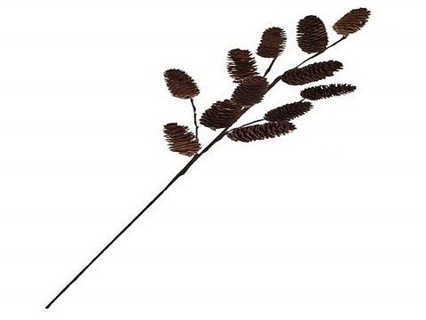 Лучший подарок на именины - Украшение для интерьера Веточка с шишками в г. Астрахань