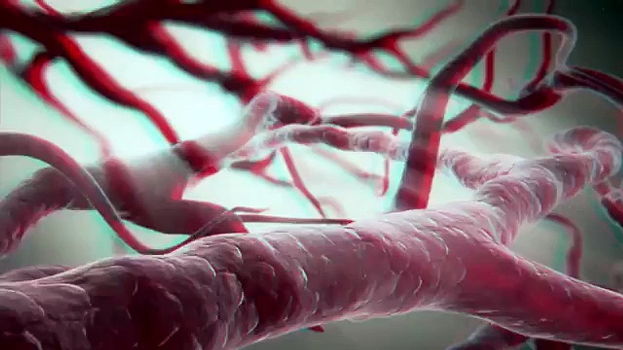 Transfer of parasite after  bite