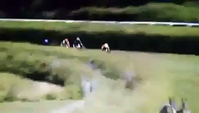 Horses Accident In Race !!!!!