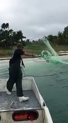 WOW awesome catch this net!!!