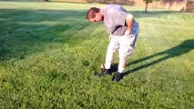 Ducklings Adorably Follow Man Who Rescued Them Wherever He Walks