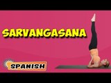 Sarvangasana | Yoga para principiantes | Yoga For Slimming & Tips | About Yoga in Spanish