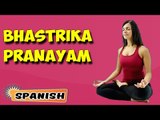 Bhastrika Pranayama | Yoga para principiantes | Yoga For Stress Relief | About Yoga in Spanish