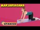 Marjariasana | Yoga para principiantes | Yoga For Young At Heart & Tips | About Yoga in Spanish