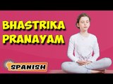 Bhastrika Pranayama | Yoga para principiantes | Yoga for Kids Memory & Tips | About Yoga in Spanish