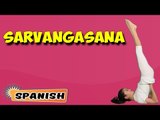 Sarvangasana | Yoga para principiantes | Yoga for Kids Growth & Height, Tips | About Yoga in Spanish