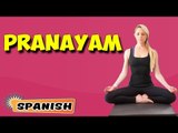 Pranayama Yoga | Yoga para principiantes | Yoga For Digestive System & Tips | About Yoga in Spanish