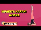 Viparita Karani Mudra | Yoga para principiantes | Yoga For Better Sex & Tips | About Yoga in Spanish