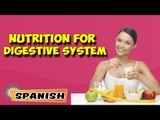 Nutritional Management For Digestive System | About Yoga in Spanish