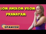 Anulom Vilom Pranayama | Yoga para principiantes | Nostril Breathing Exercises