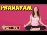 Pranayama | Yoga para principiantes | Yoga For Cervical Spondylosis & Tips | About Yoga in Spanish