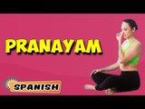 Pranayama | Yoga para principiantes | Yoga For BodyBuilding & Tips | About Yoga in Spanish